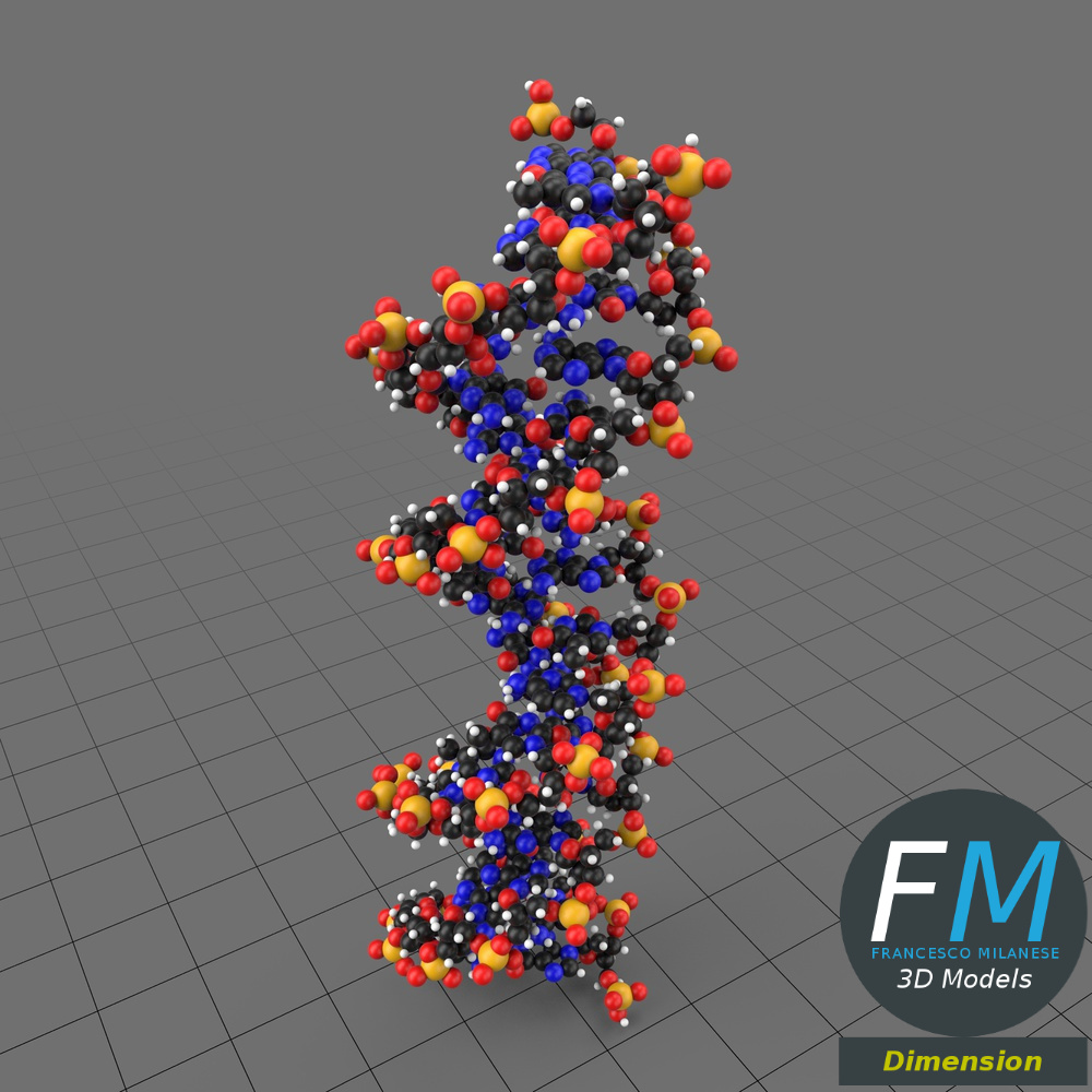 Francesco Milanese - Strand of DNA, Adobe Dimension 3D Model